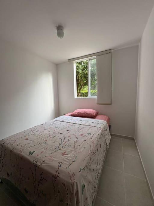 Confort Y Estilo Ideal En Neiva *
